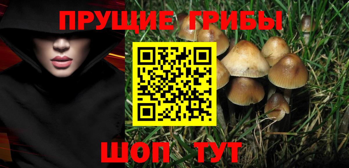 Магнитогорск  Галлюциногенные грибы Psilocybine cubensis  Вход с VPN 